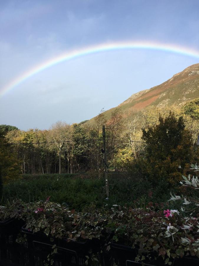 Woodbriar Bed & Breakfast Penmaenmawr ภายนอก รูปภาพ